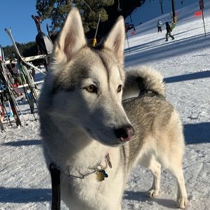 Meet your Posher, Mike